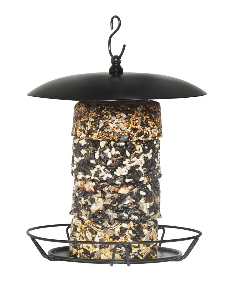 301-254 Armstrong Royal Jubilee Granola Stacks Feeder 7 76947 84009 1